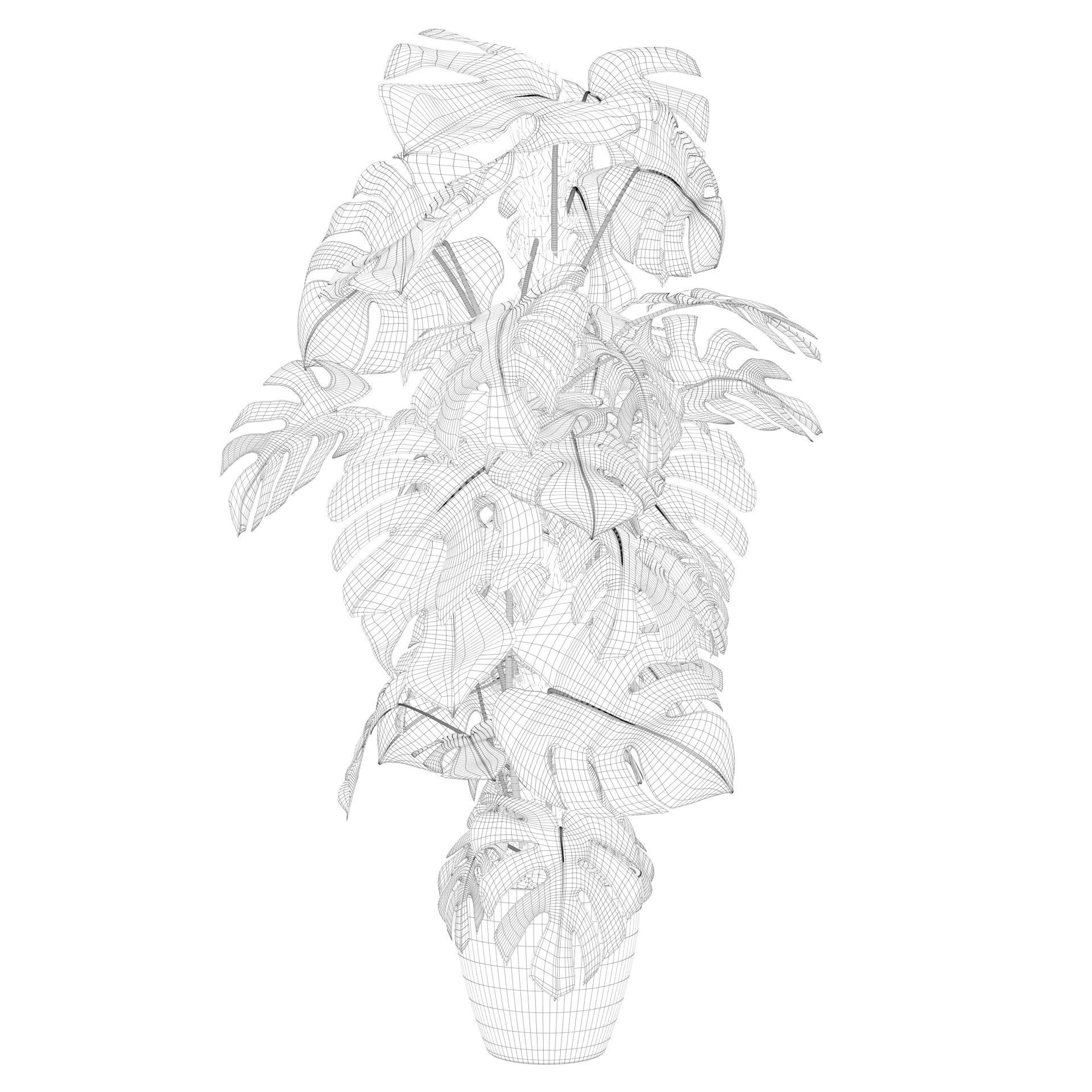 Monstera 150cm 3D model_41