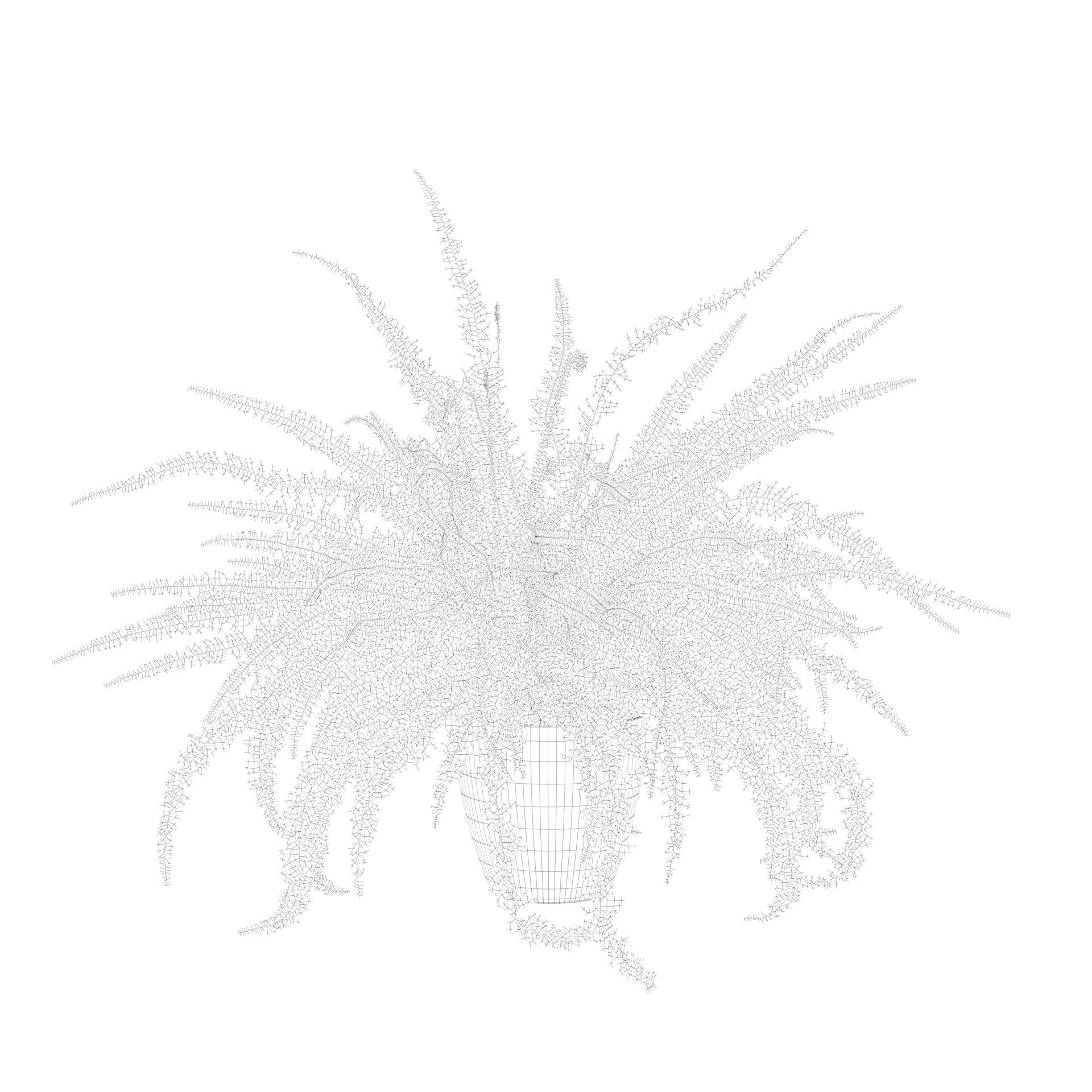 Fern in white pot 3D model_7
