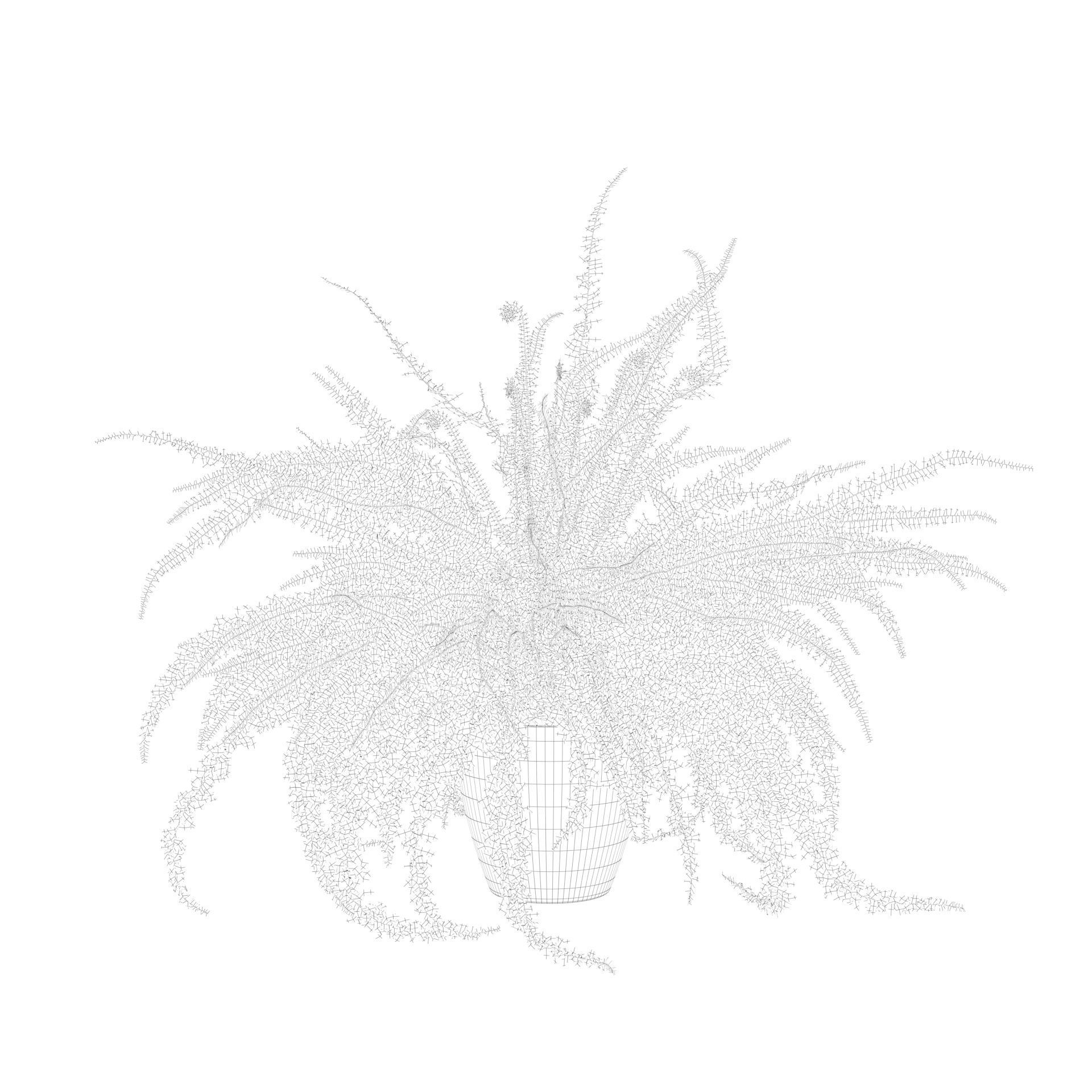 Fern in white pot 3D model_3