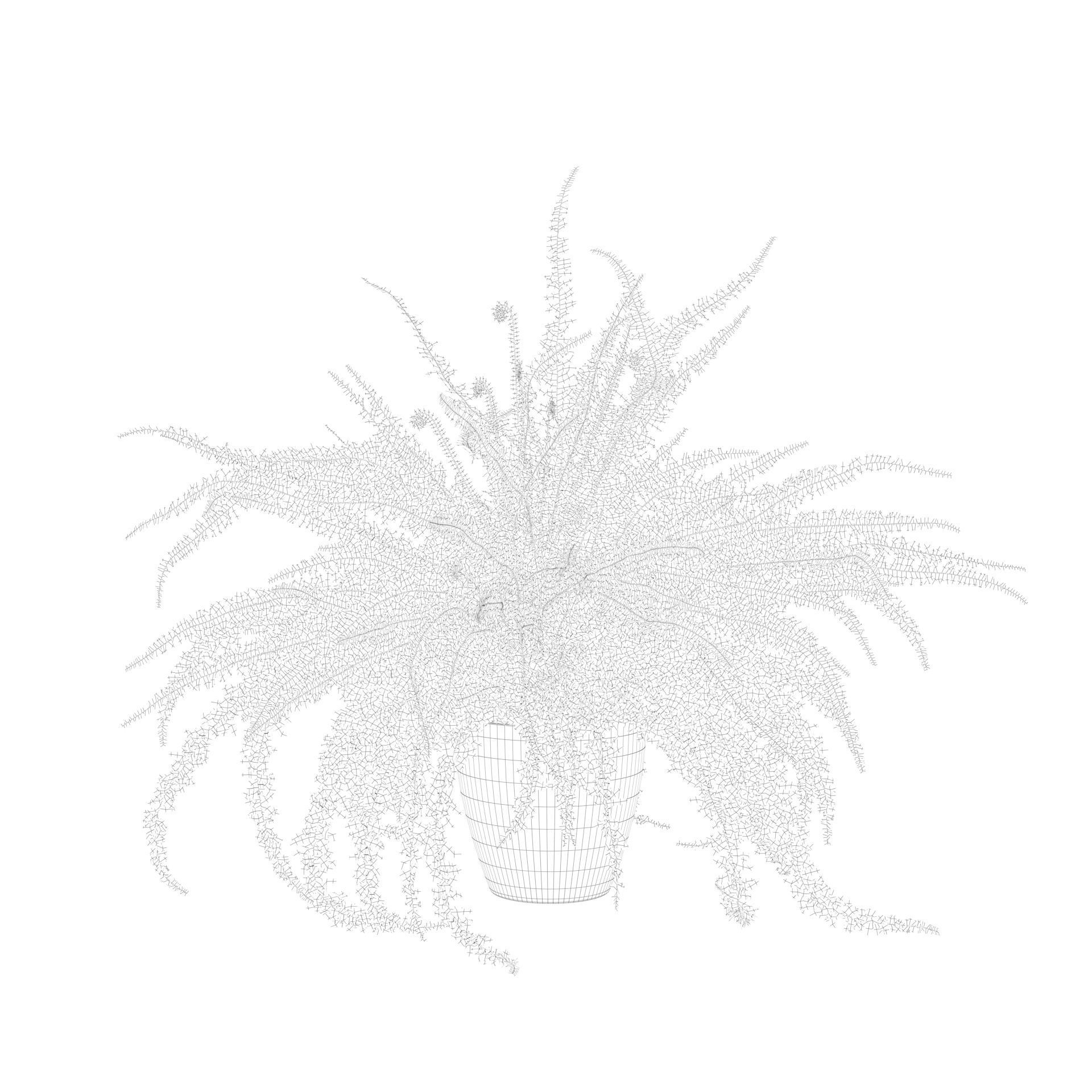 Fern in white pot 3D model_8