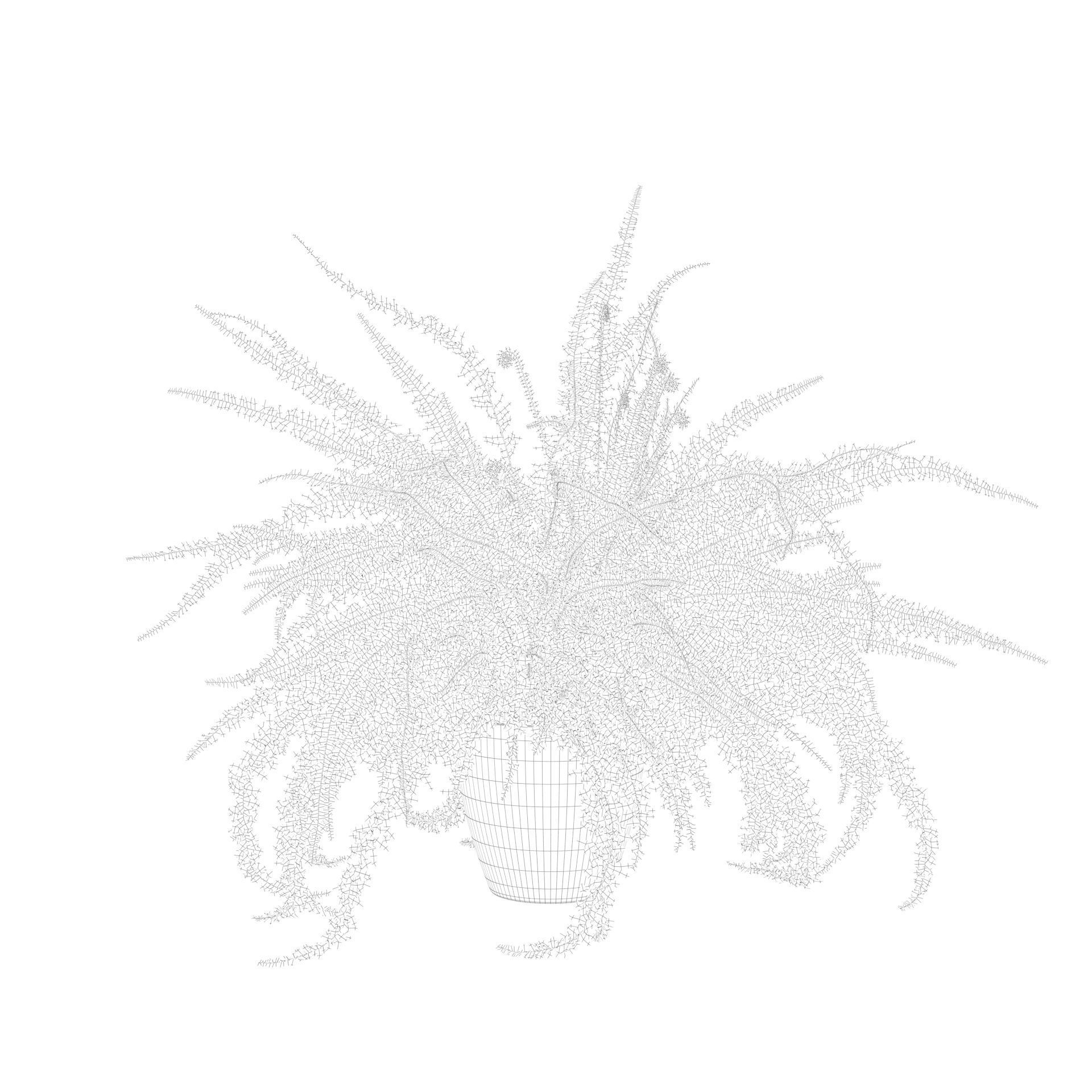 Fern in white pot 3D model_5
