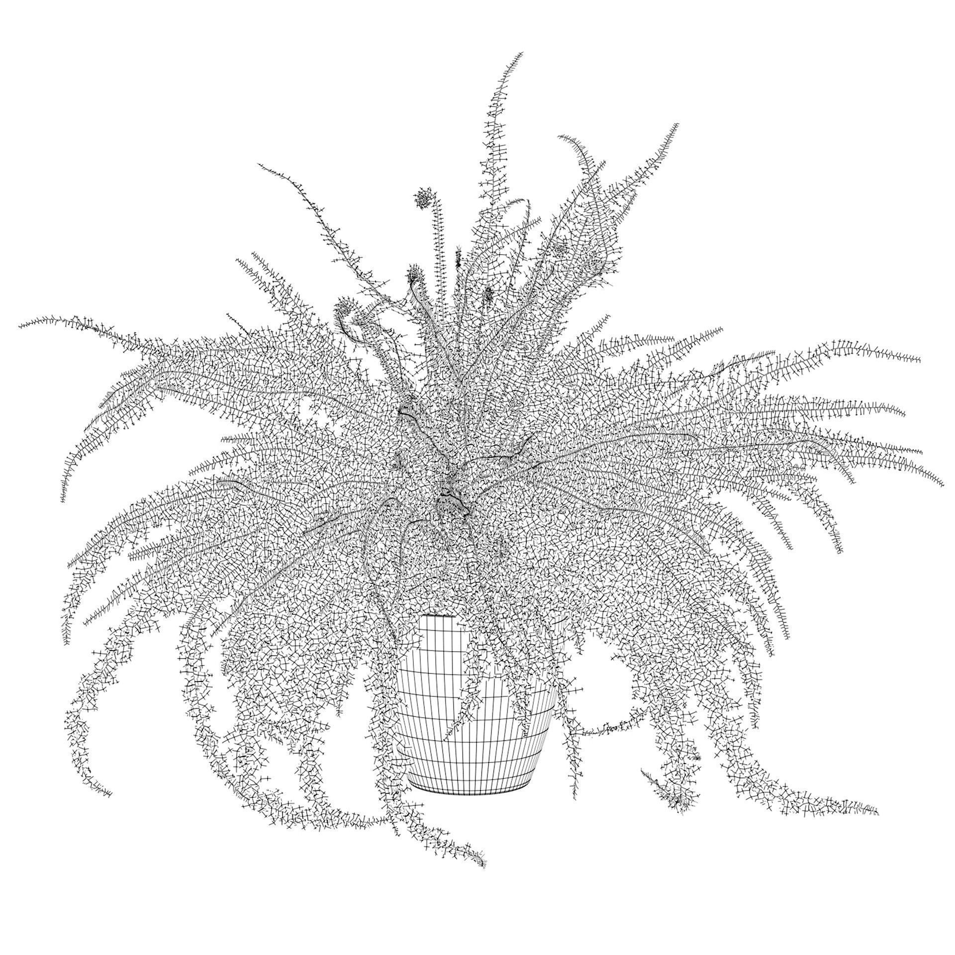 Fern in white pot 3D model_2