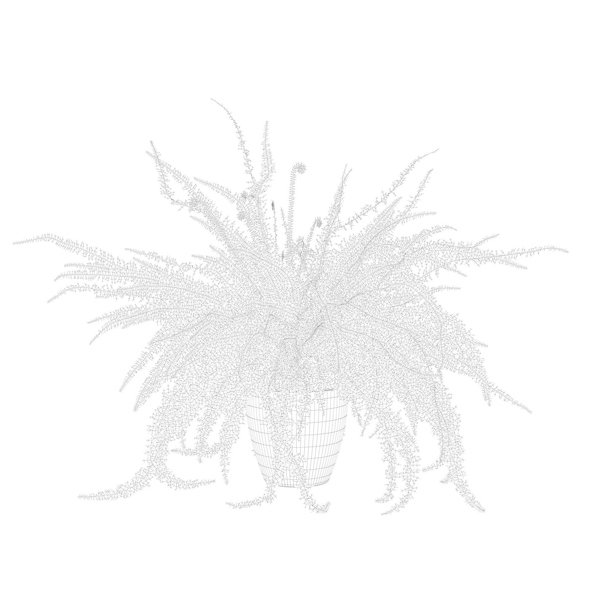 Fern in white pot 3D model_6