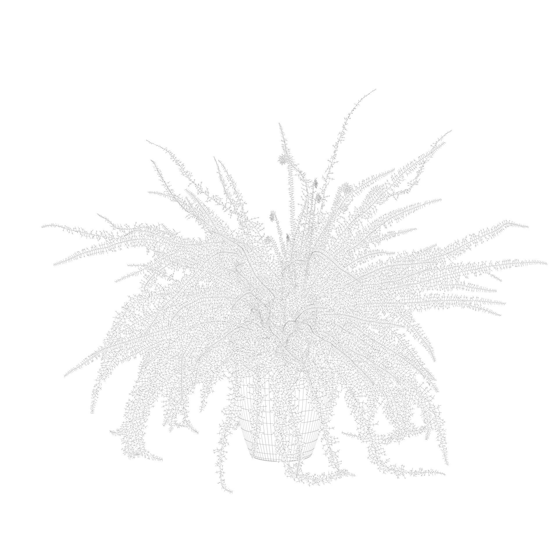 Fern in white pot 3D model_4