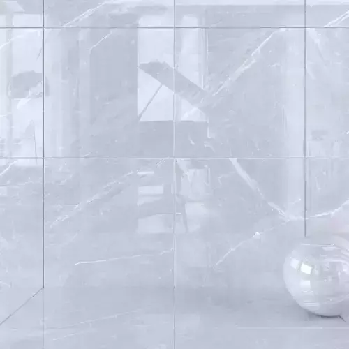 Wall Tiles Museum Mainstone Dolphin 120x120 Set 1