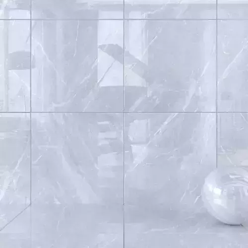 Wall Tiles Museum Mainstone Dolphin 120x120 Set 2