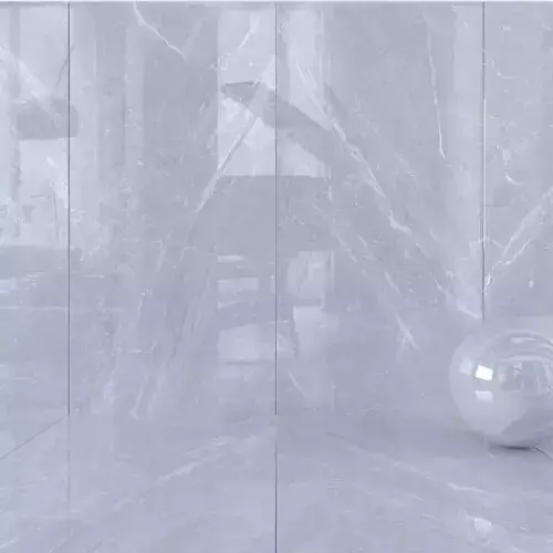 Wall Tiles Museum Mainstone Dolphin 120x240