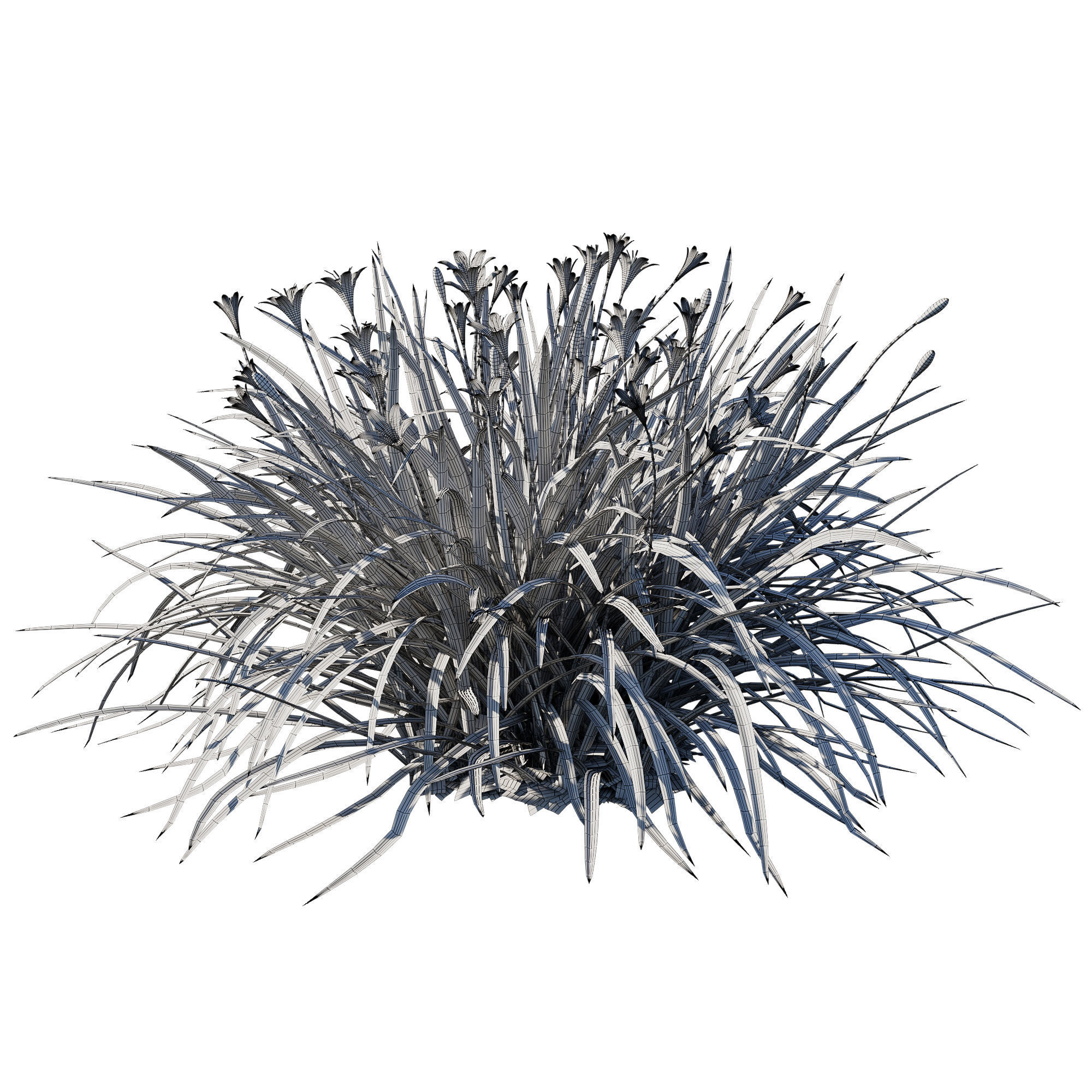 Zephyranthes sulphurea yellow rain lily 3D model_2