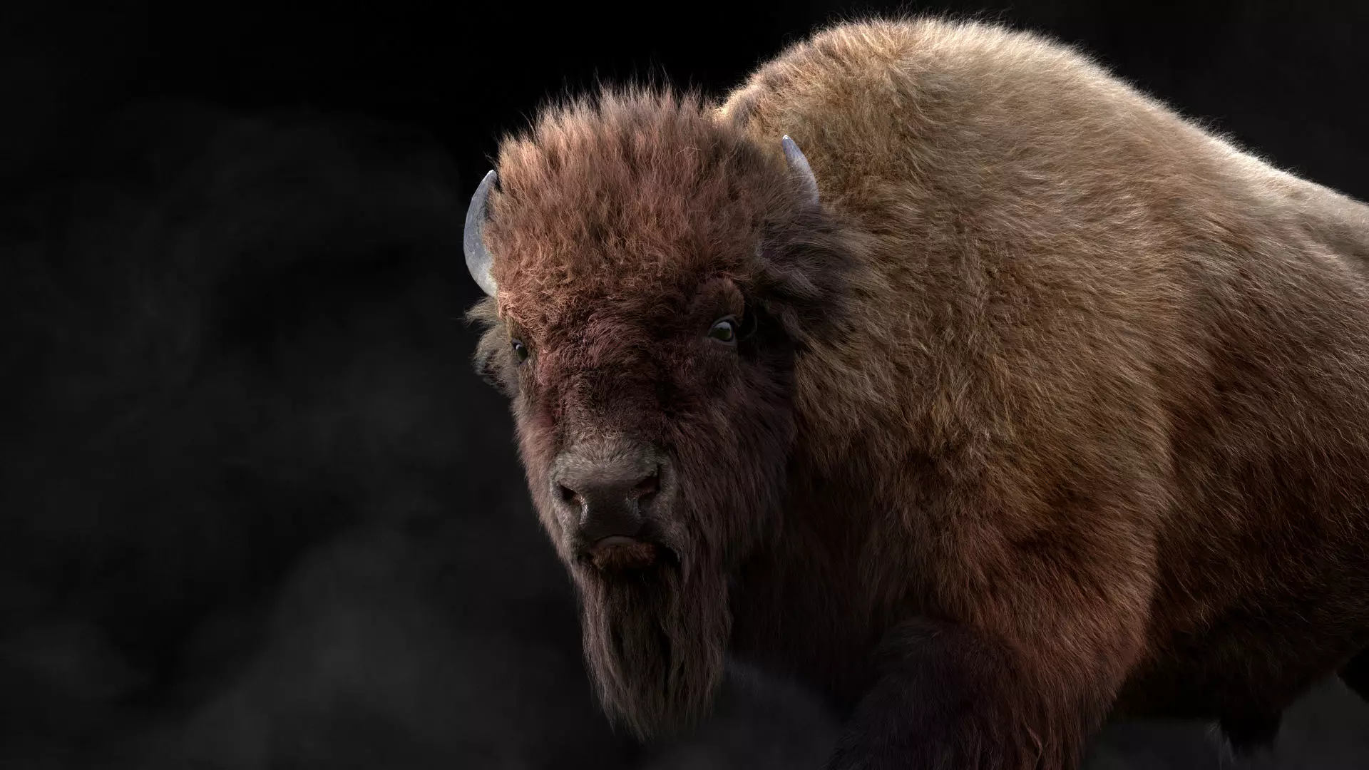 Bison Male Animated 3D model_0