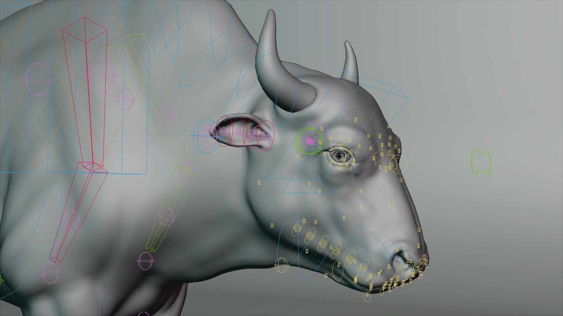 Bison Male Animated 3D model_11