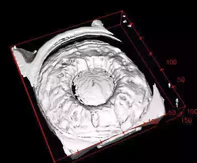 3D human iris and pupil