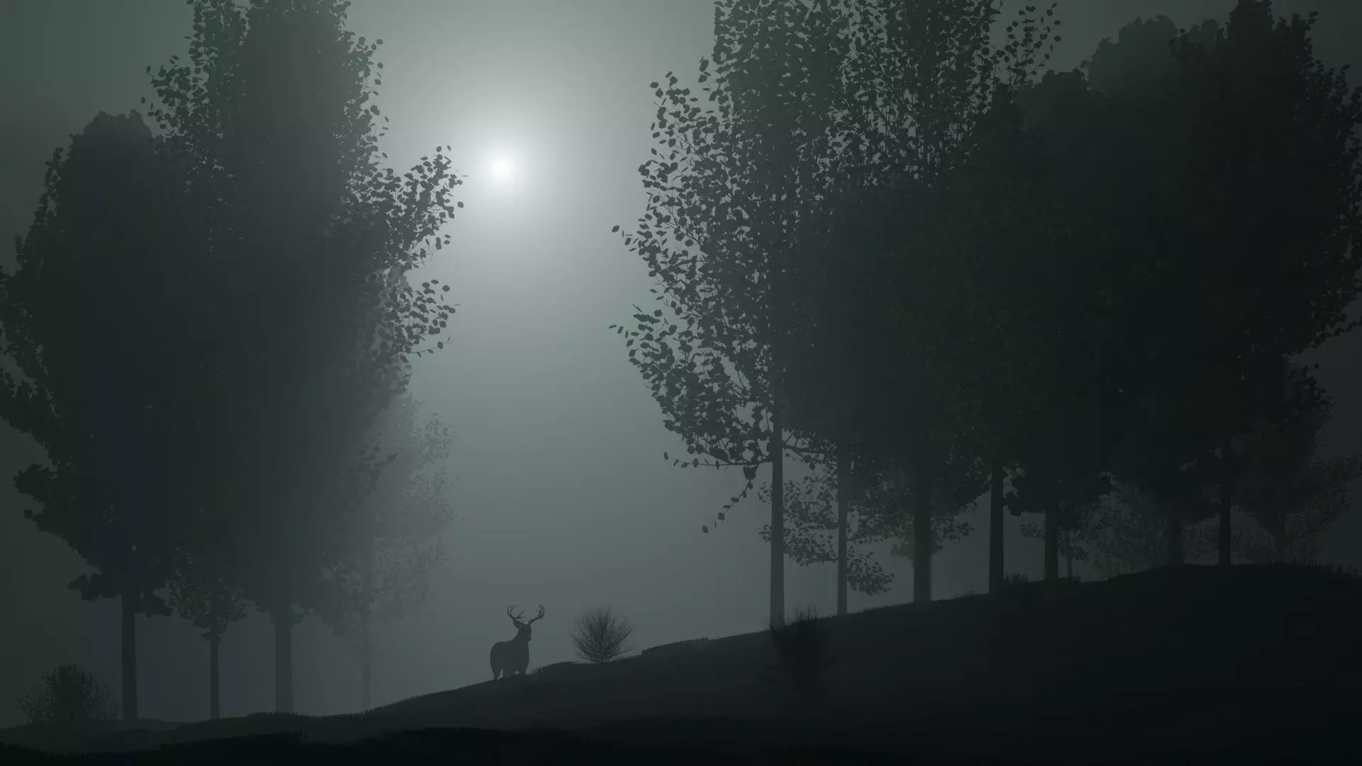Forest landscape Free 3D model