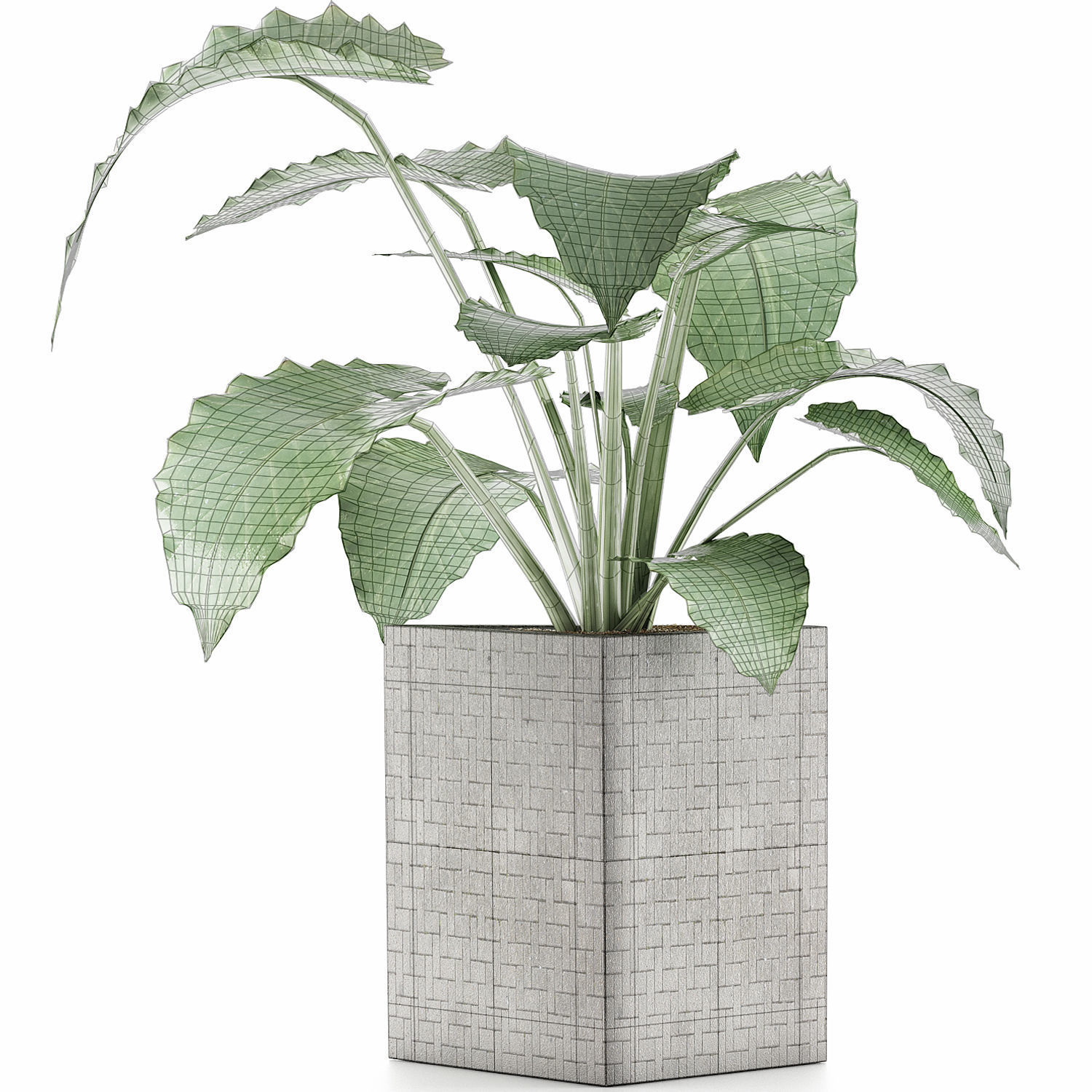 Plants Collection 55 3D model_4