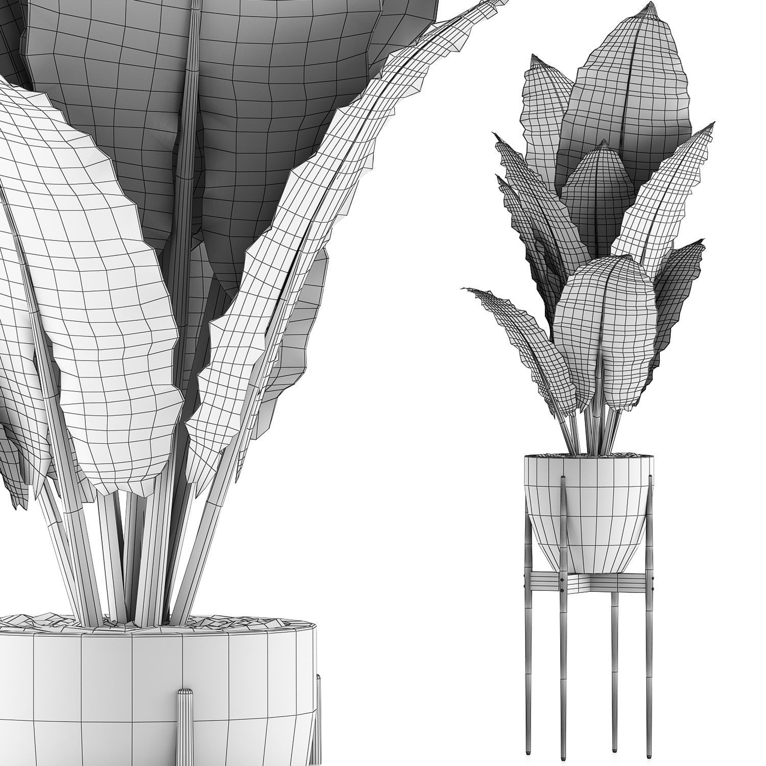 Plants Collection 56 3D model_4