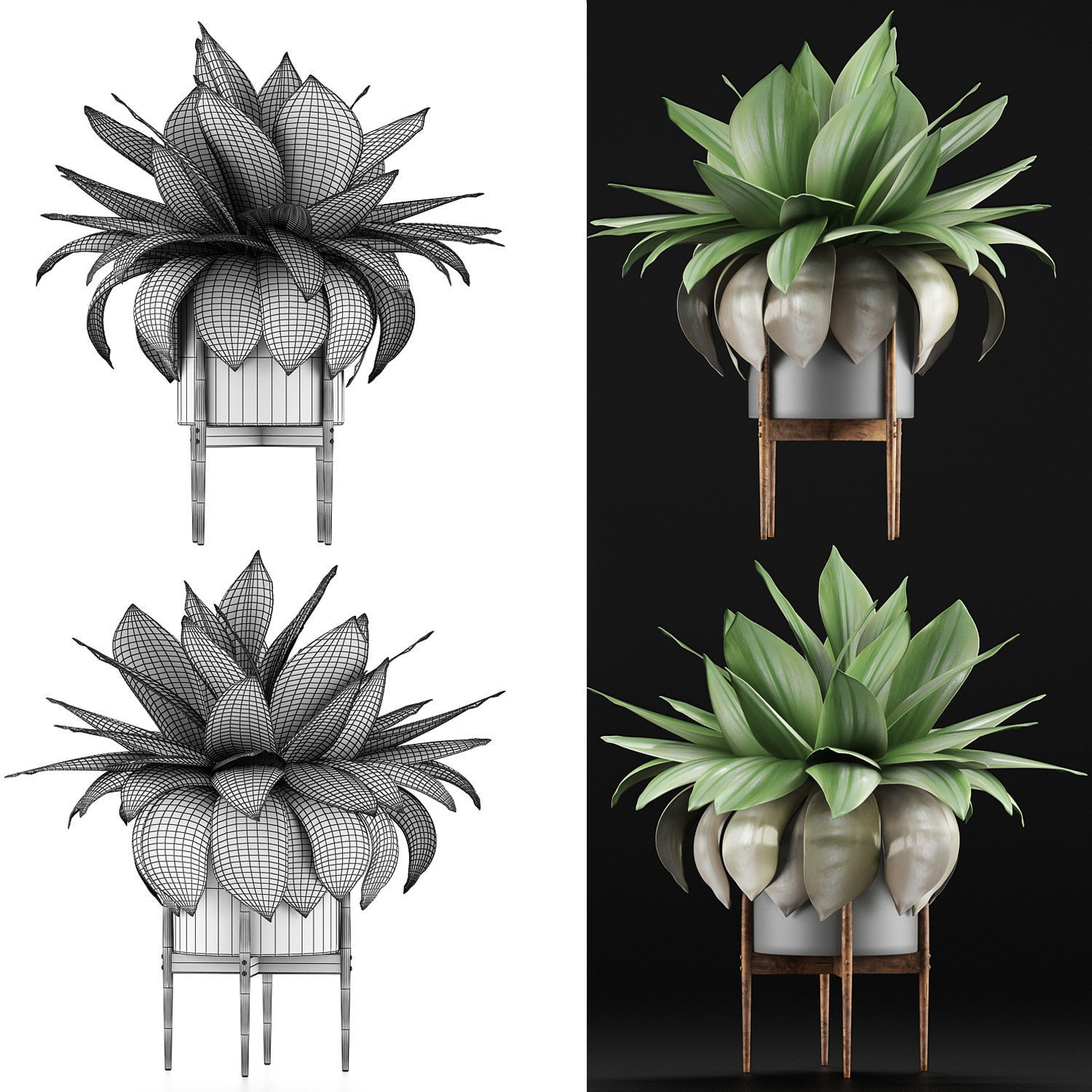 Plants Collection 58 3D model_4