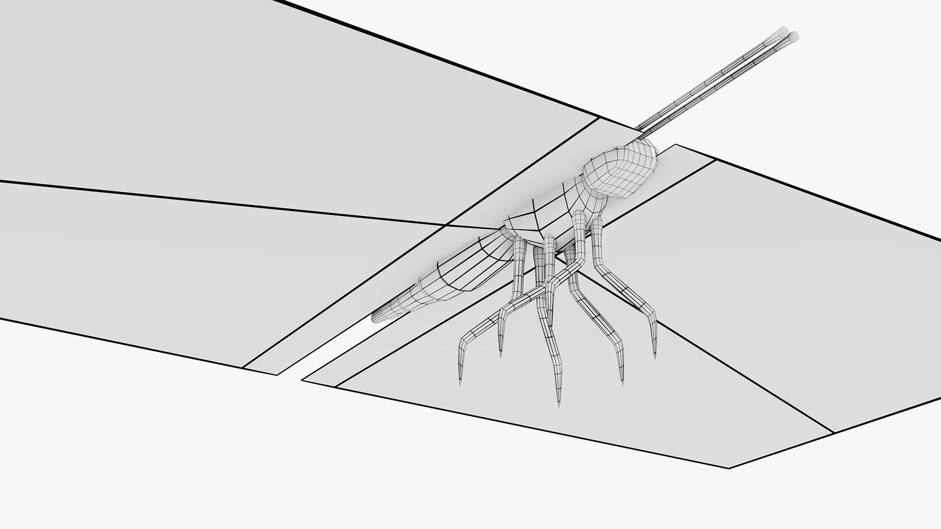 Low-Poly Butterfly - Fully Rigged For Blender Free low-poly 3D model_13