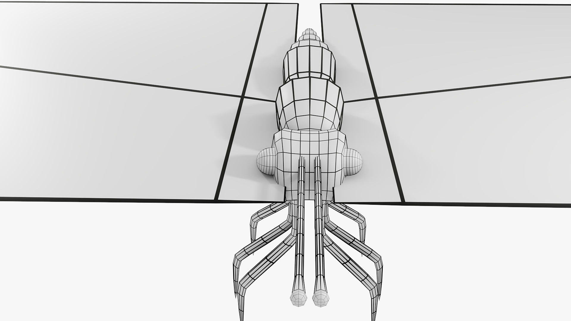 Low-Poly Butterfly - Fully Rigged For Blender Free low-poly 3D model_14