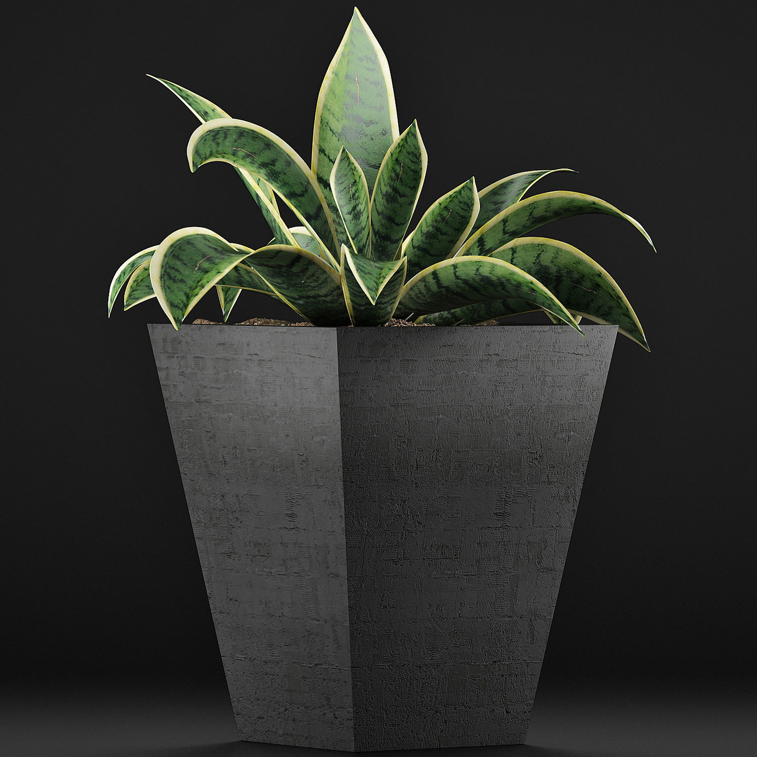 Plants Collection 60 3D model_1