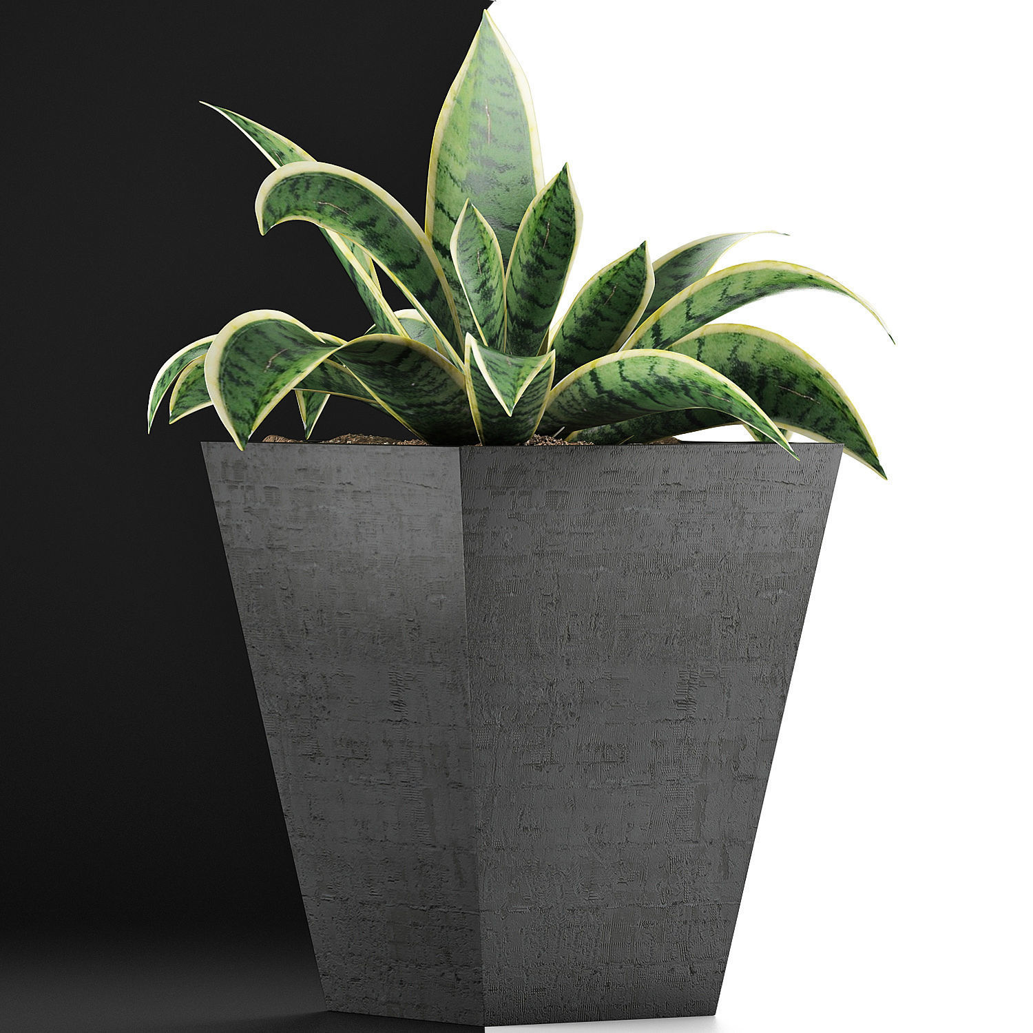Plants Collection 60 3D model_6