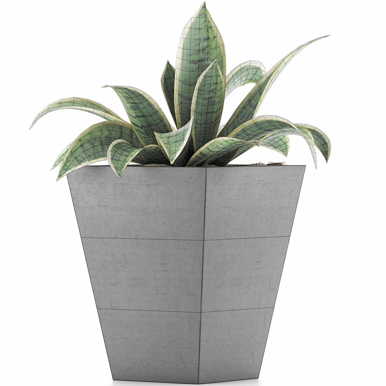 Plants Collection 60 3D model_5