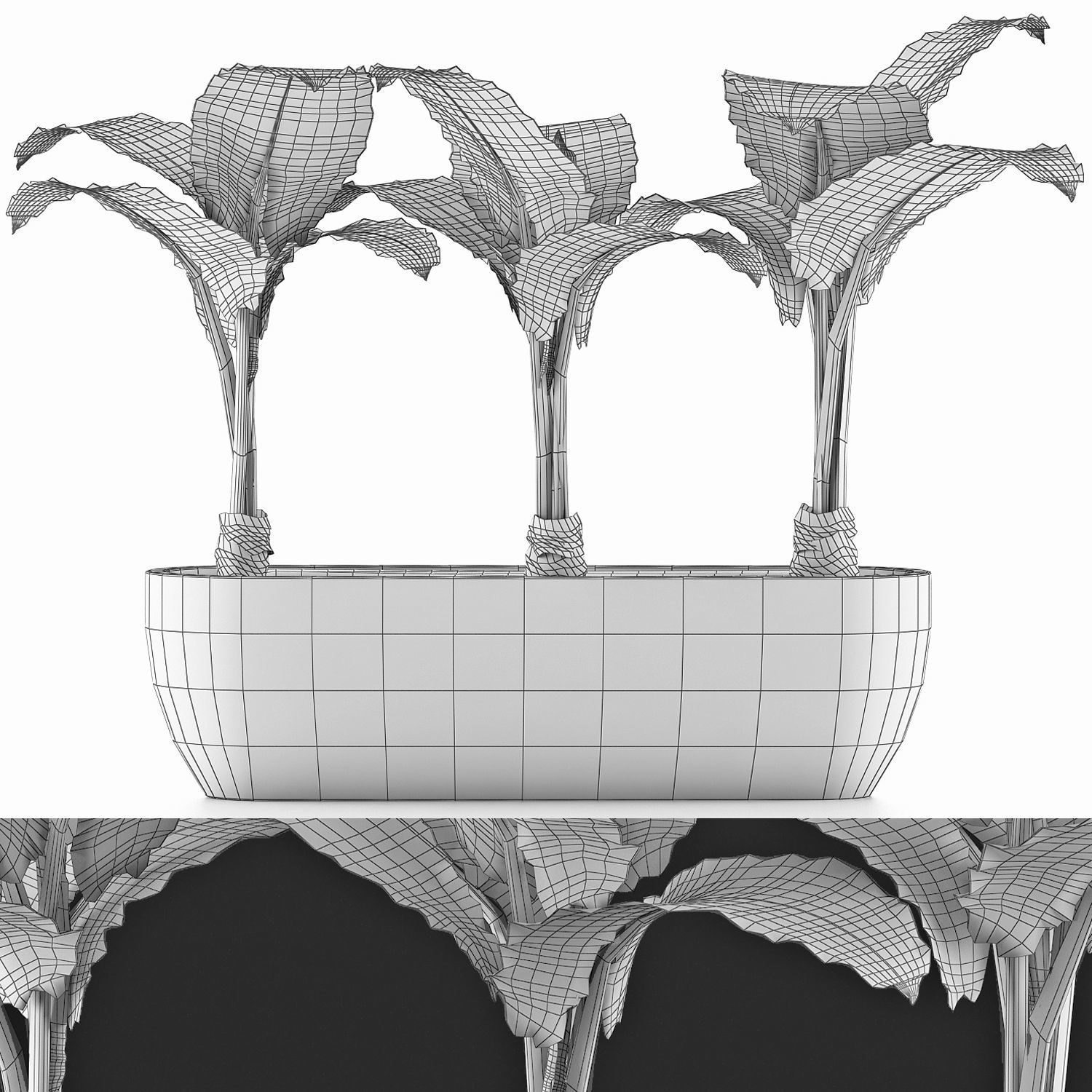 Plants Collection 70 3D model_5