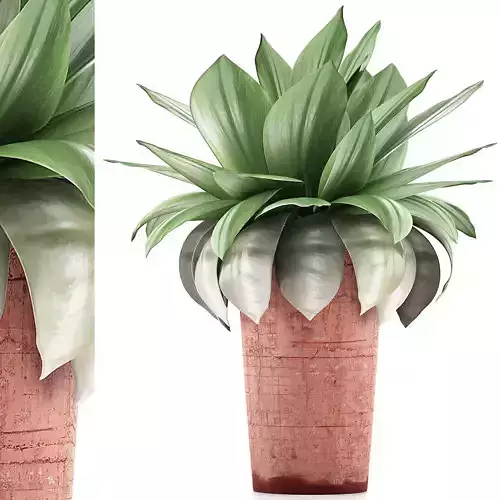 Plants Collection 78 3D model