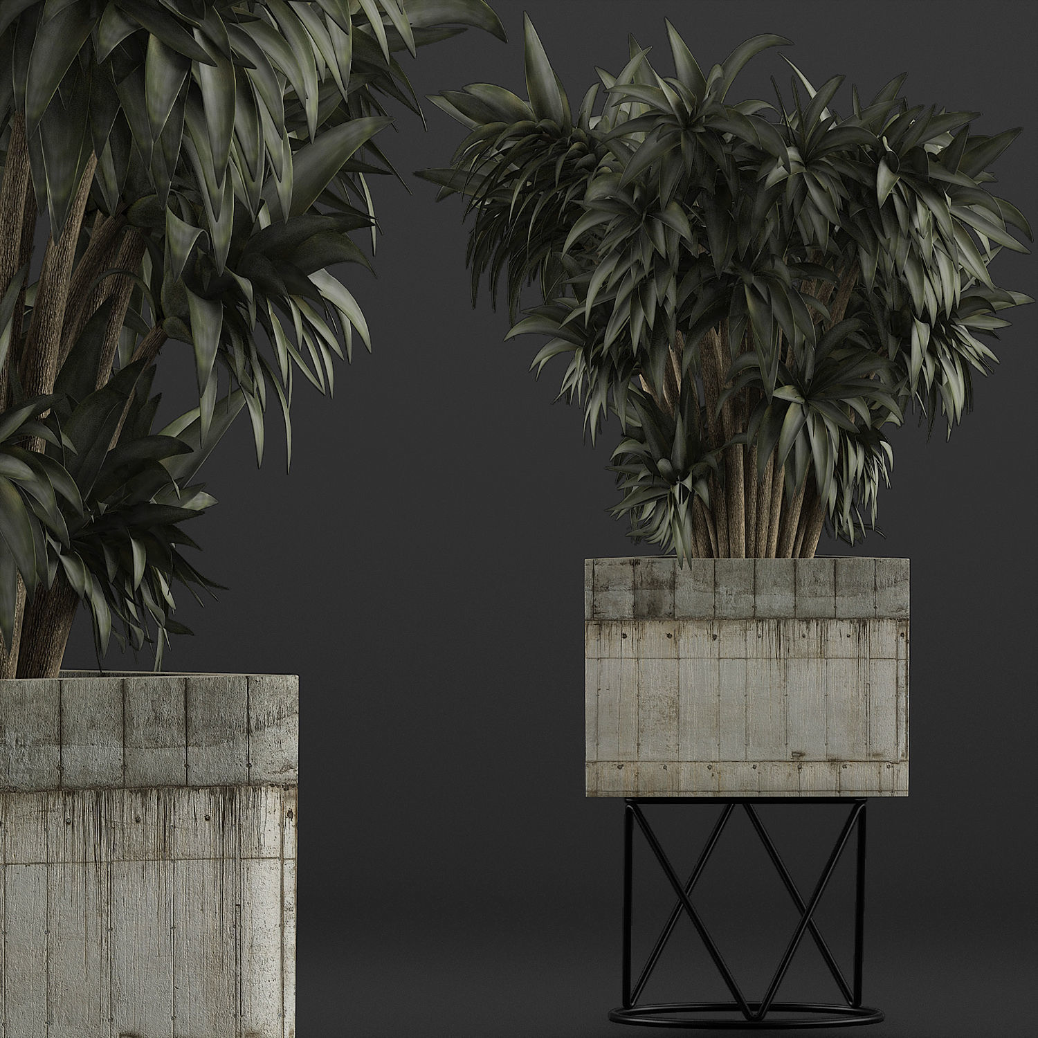 Plants Collection 80 3D model_2