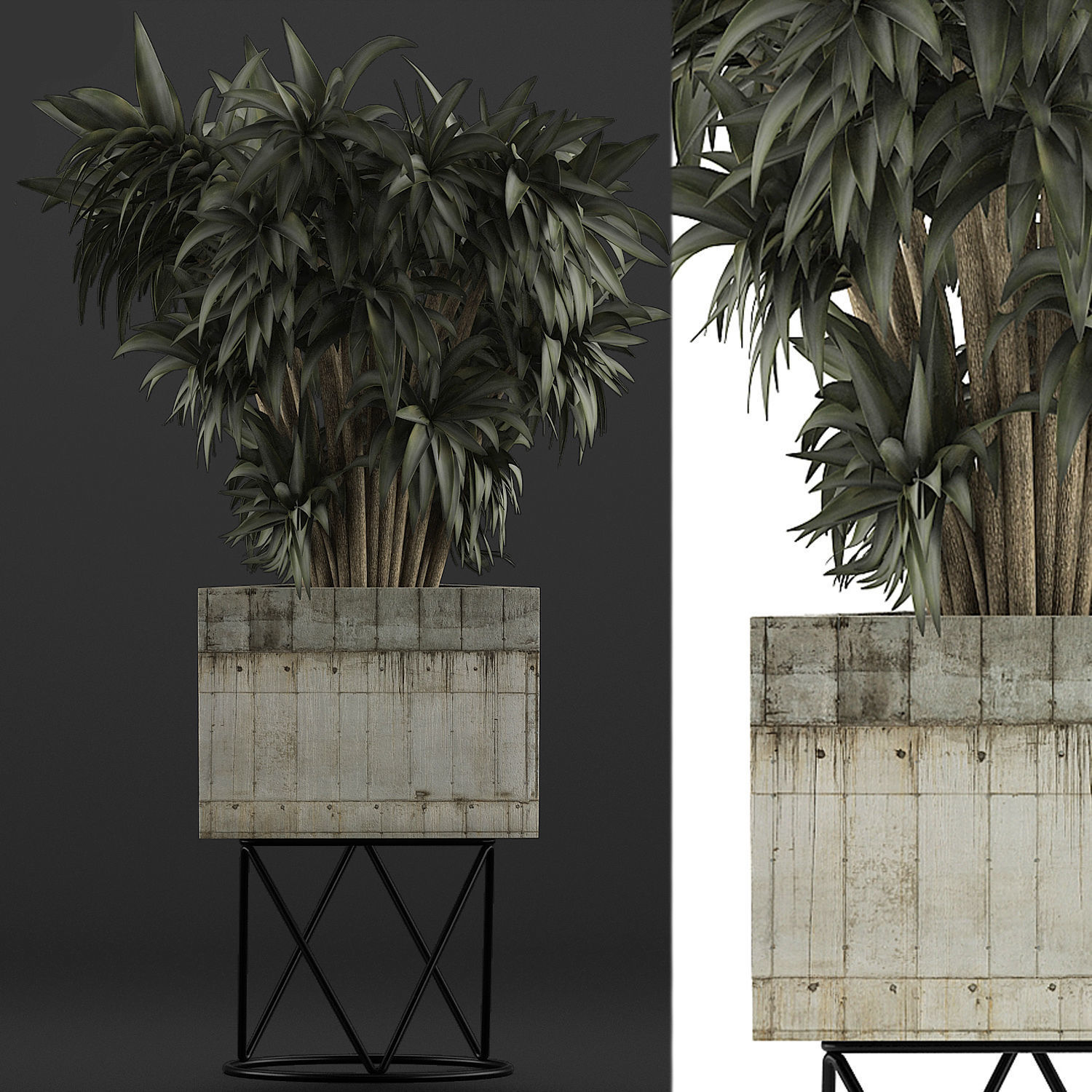Plants Collection 80 3D model_3