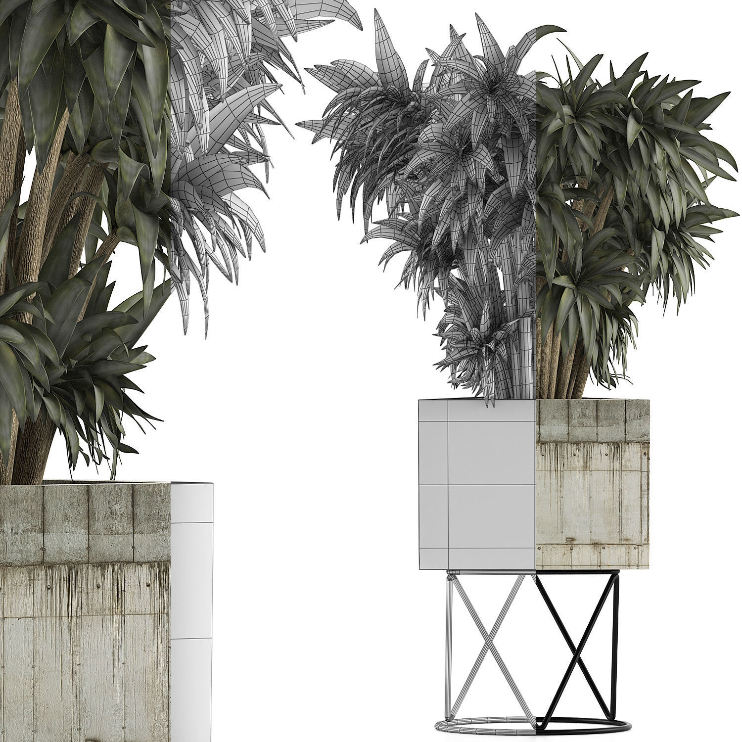 Plants Collection 80 3D model_7