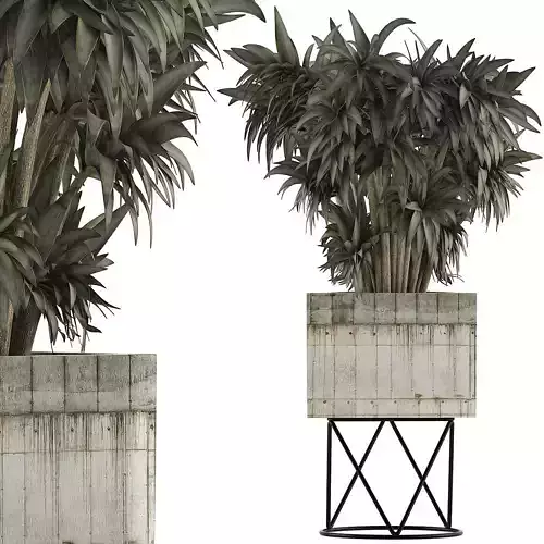 Plants Collection 80 3D model