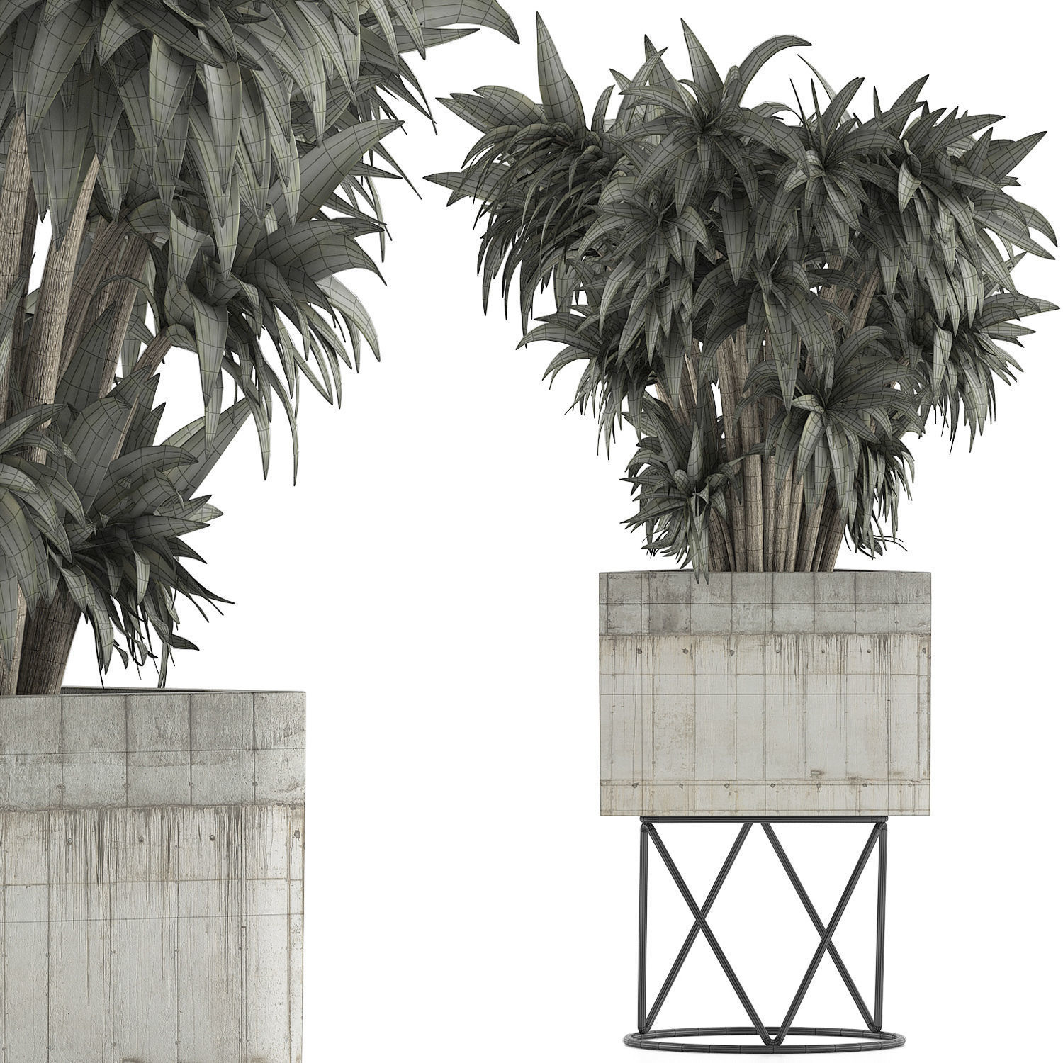 Plants Collection 80 3D model_6