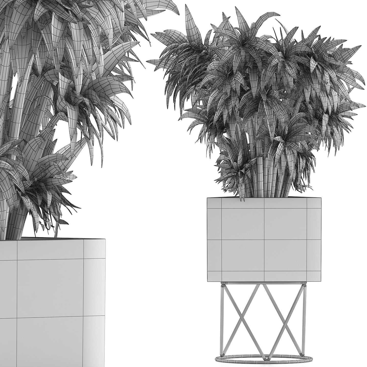 Plants Collection 80 3D model_4