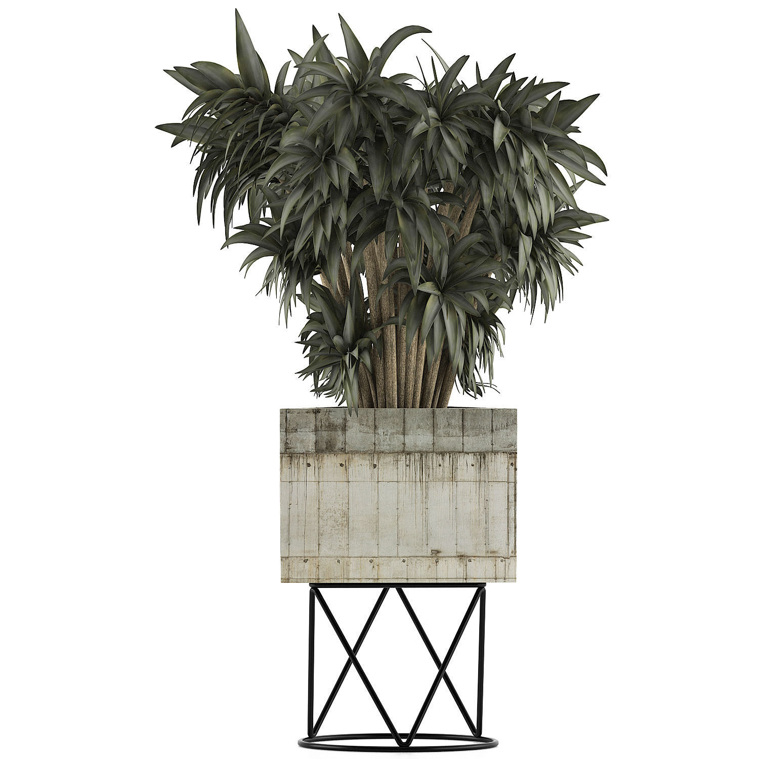 Plants Collection 80 3D model_1