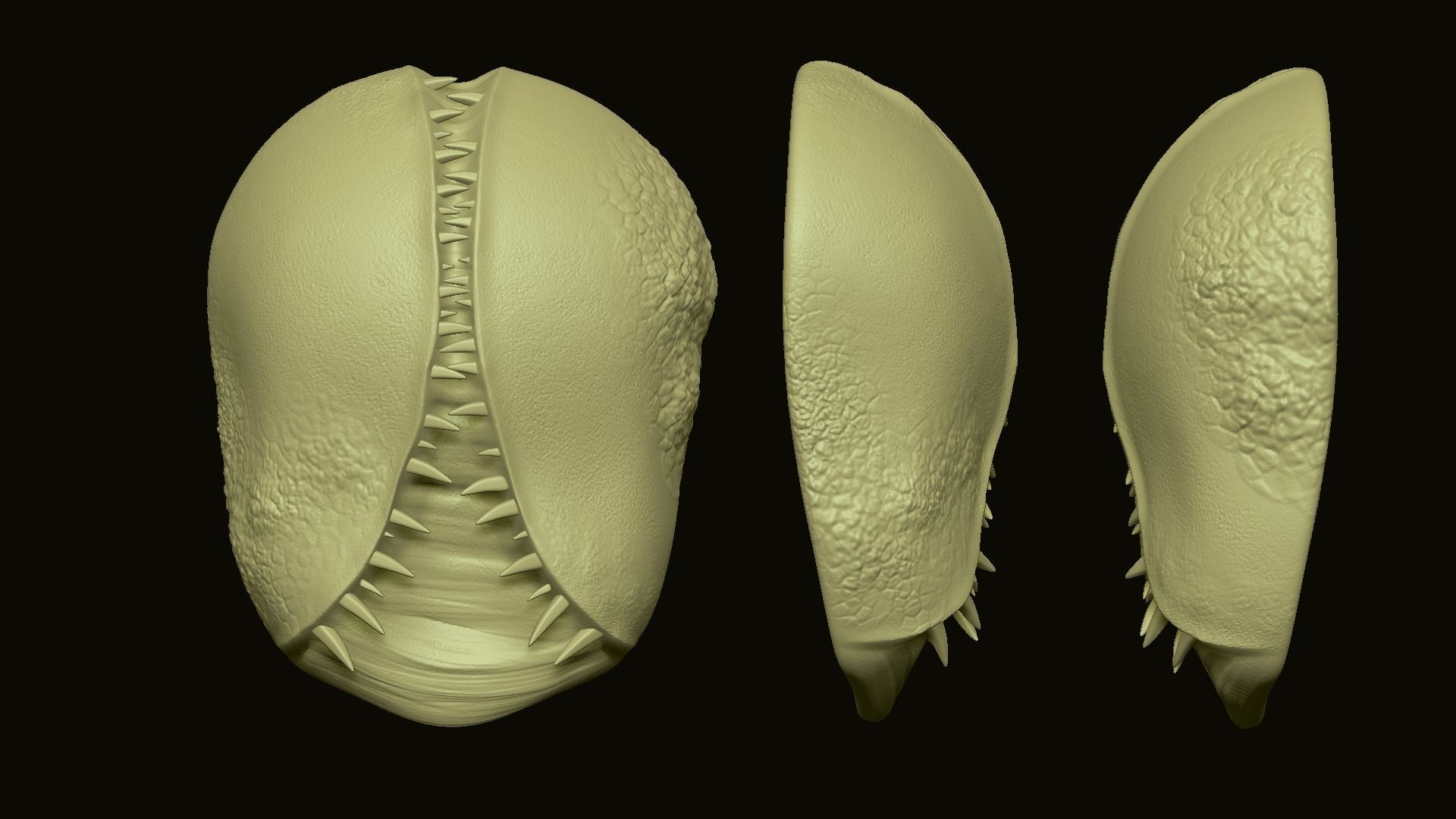 Fungus Undead - Terror Halloween Mask Low-poly 3D model_4