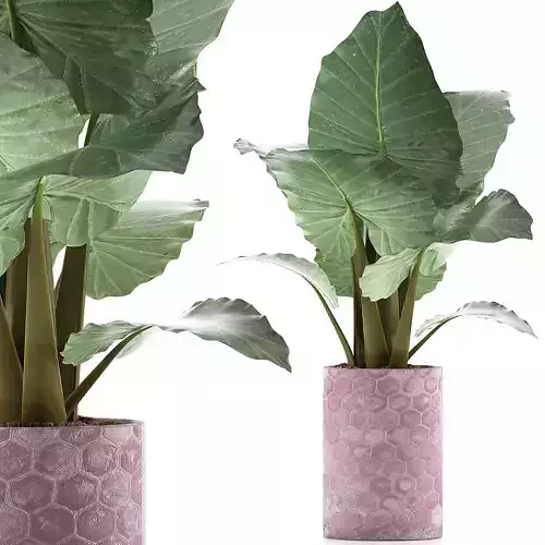 Plants Collection 82 3D model