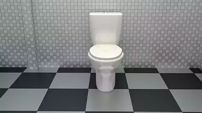 Toilet Ceramic