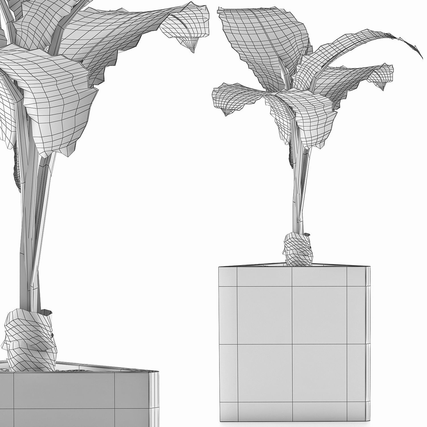 Plants Collection 83 3D model_4