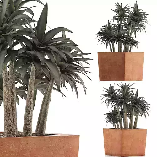 Plants Collection 84 3D model