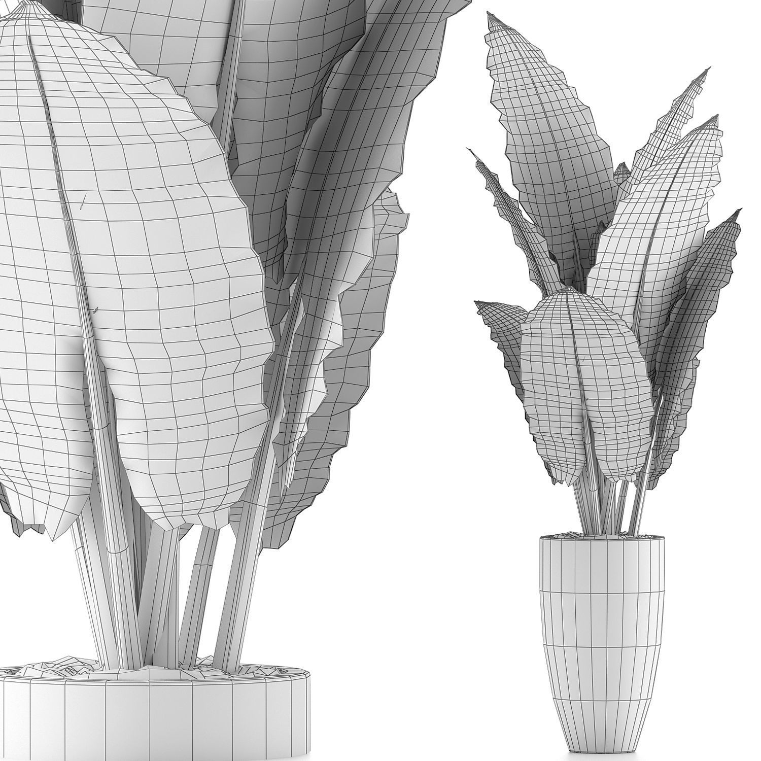 Plants Collection 88 3D model_4