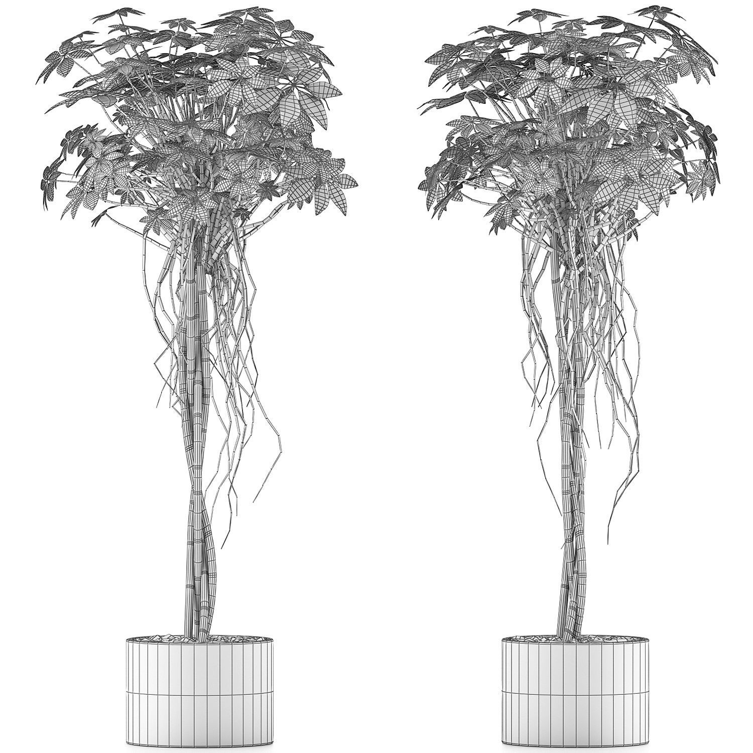 Plants Collection 90 3D model_3