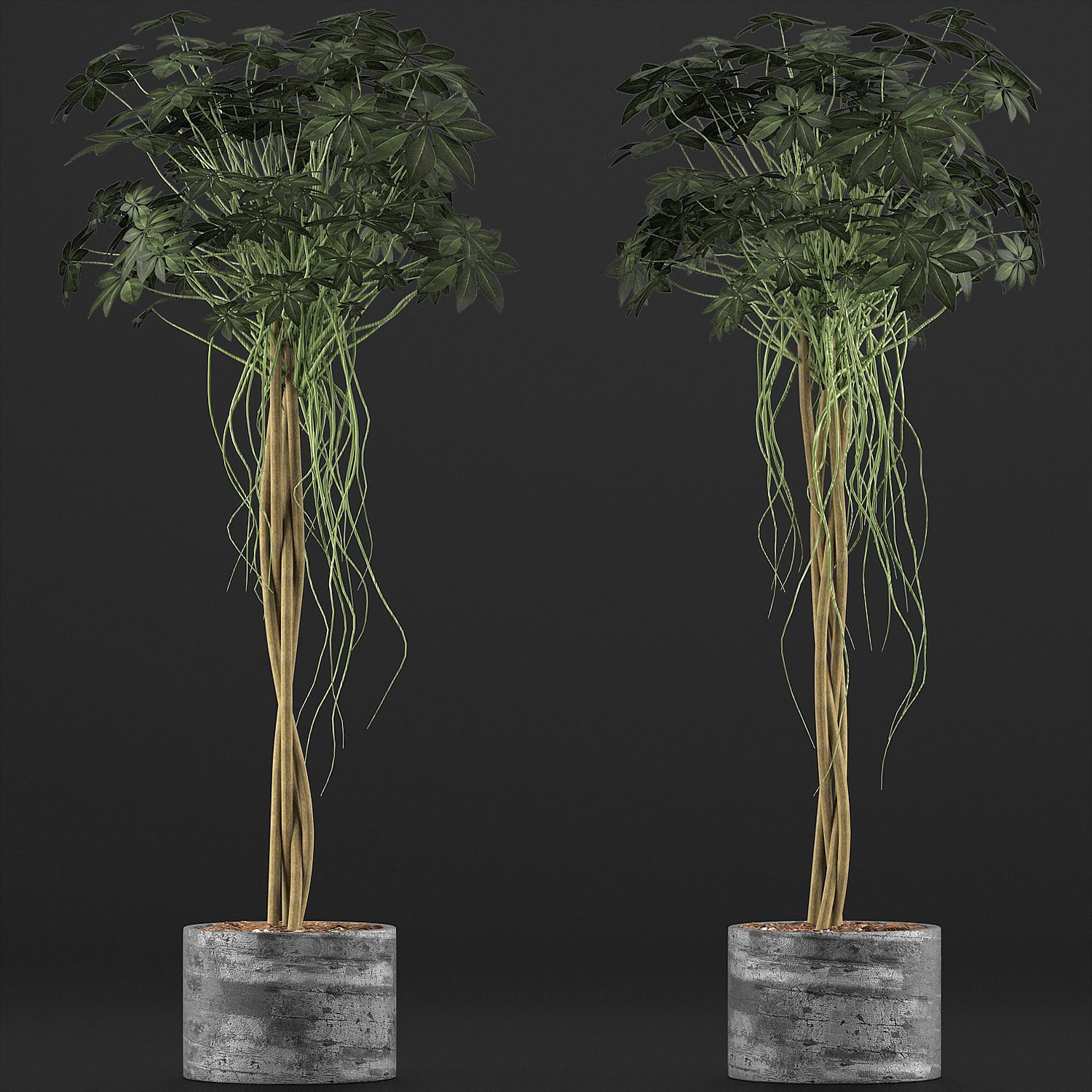 Plants Collection 90 3D model_1