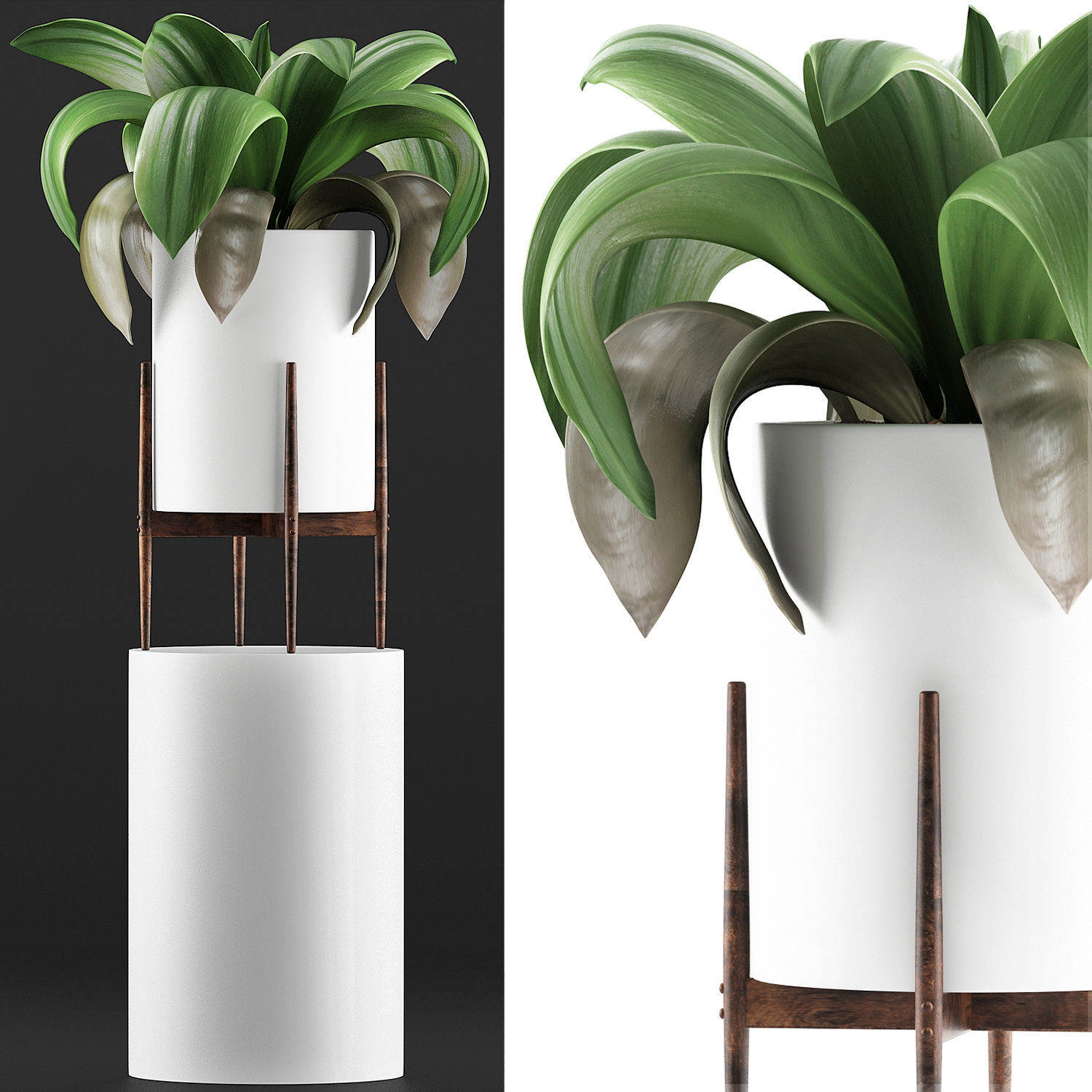 Plants Collection 91 3D model_1