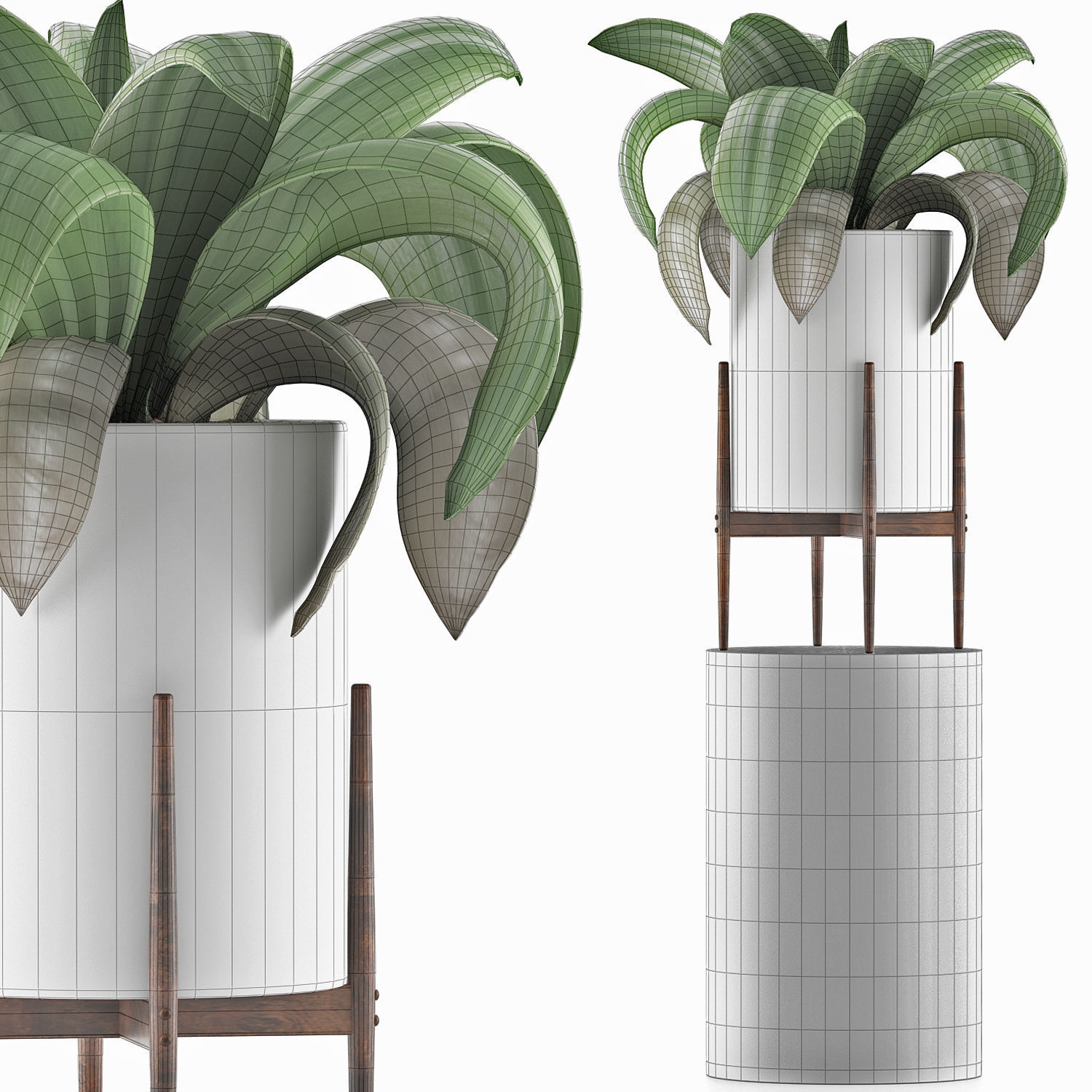 Plants Collection 91 3D model_3