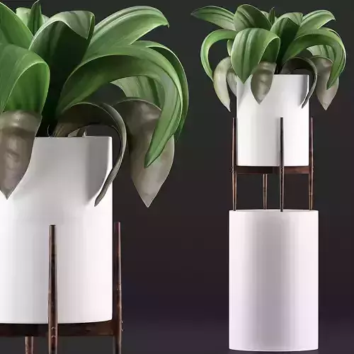 Plants Collection 91 3D model