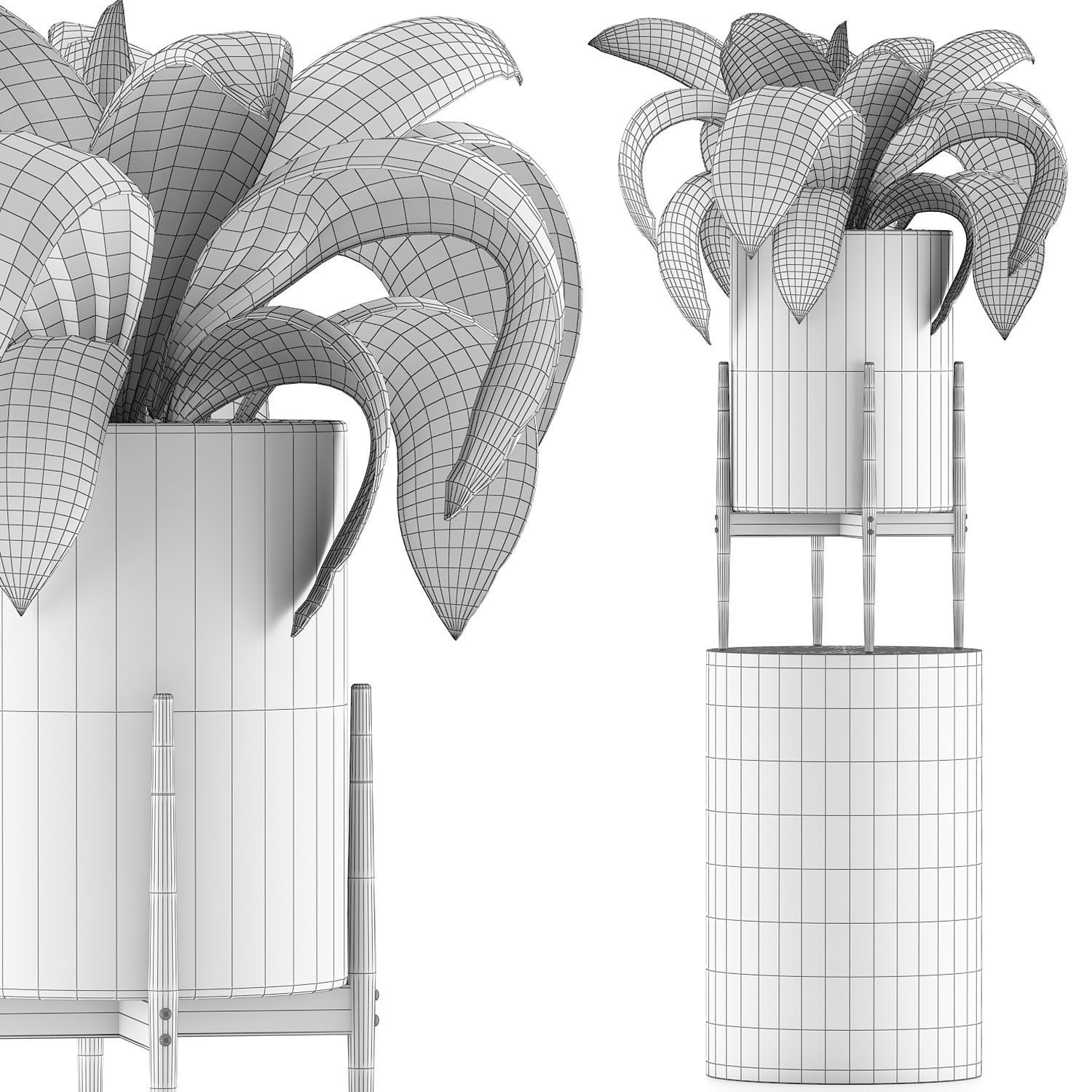 Plants Collection 91 3D model_2