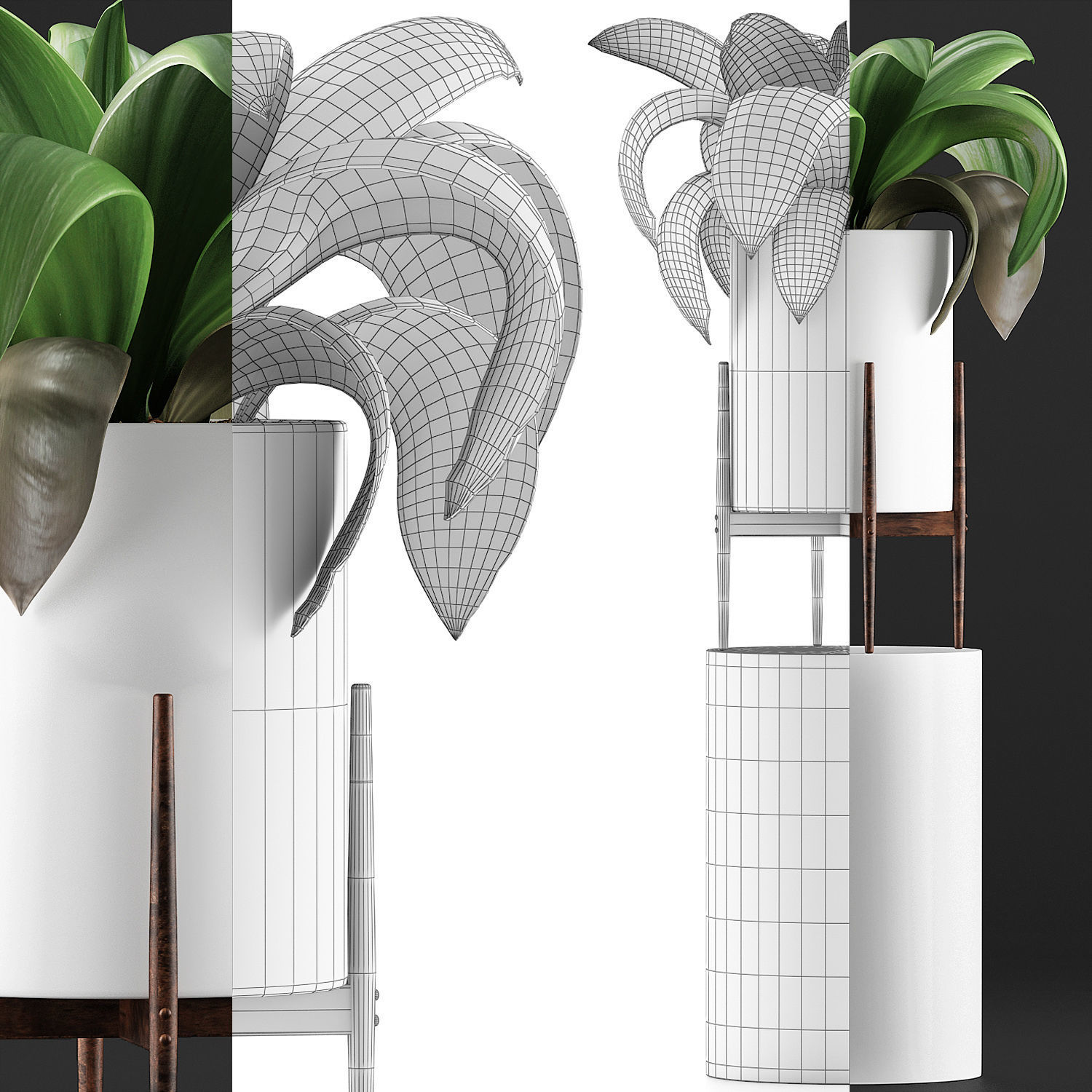 Plants Collection 91 3D model_5