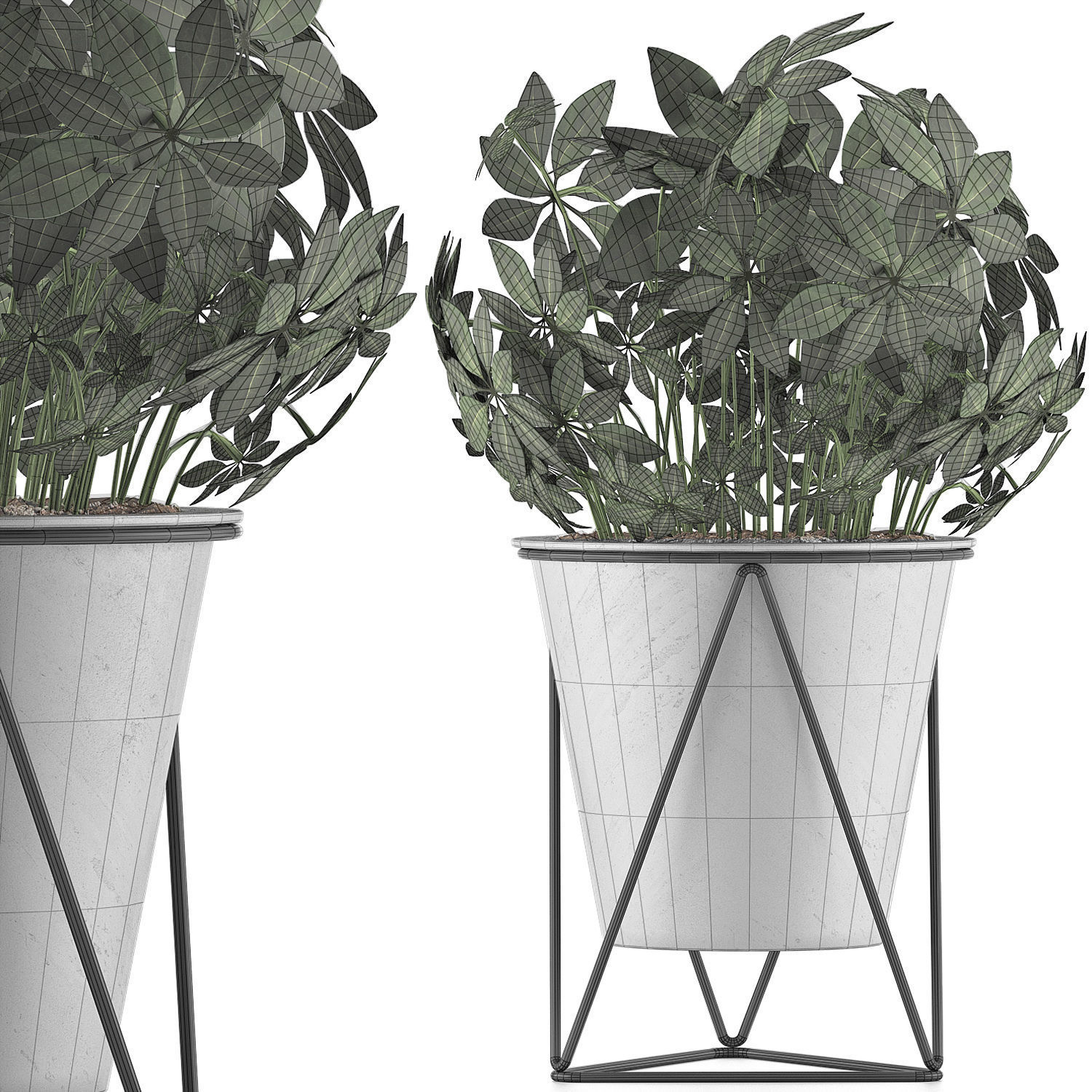 Plants Collection 92 3D model_7