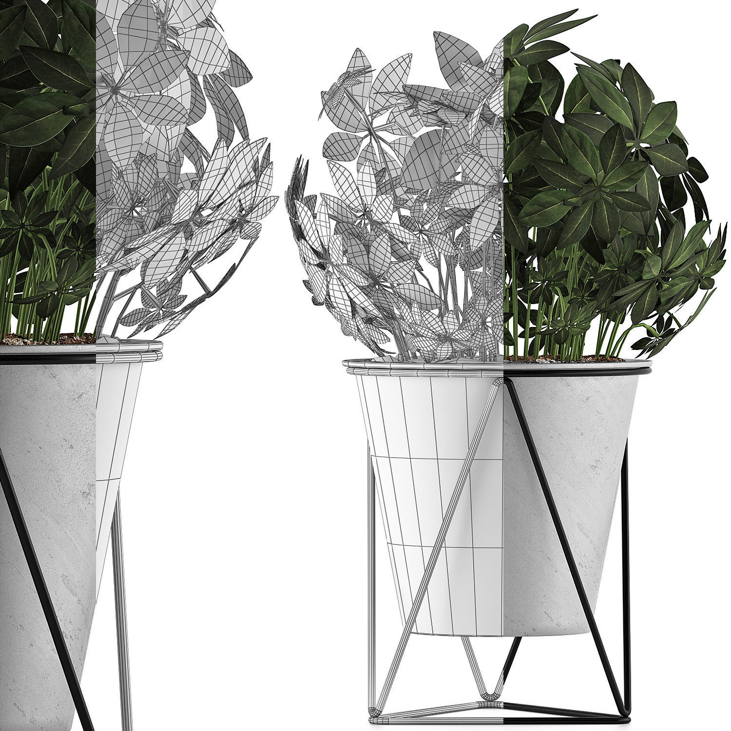 Plants Collection 92 3D model_6