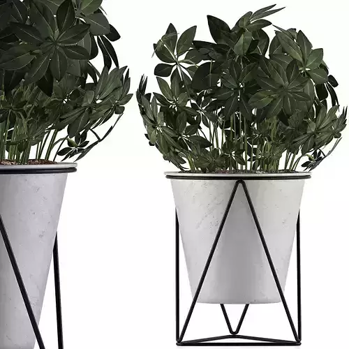 Plants Collection 92 3D model
