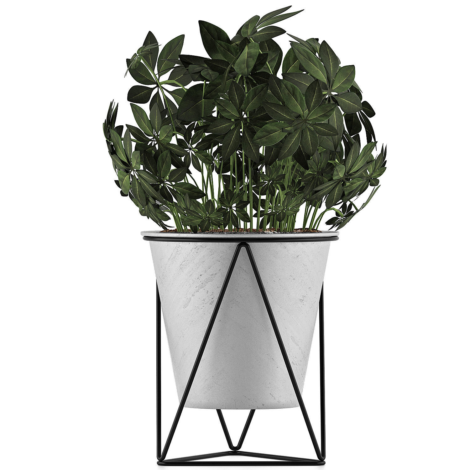 Plants Collection 92 3D model_1